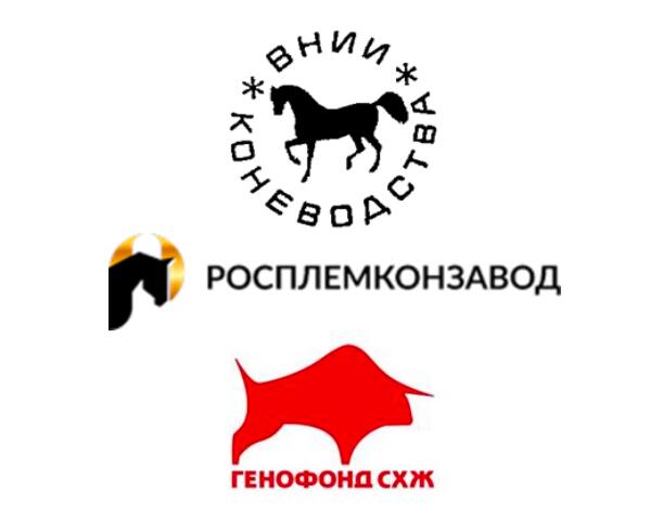 Сохранение генетических ресурсов местных пород лошадей